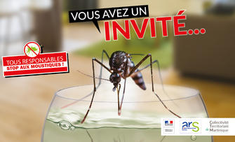 Fin-de-l-epidemie-de-Zika-en-Martinique_large